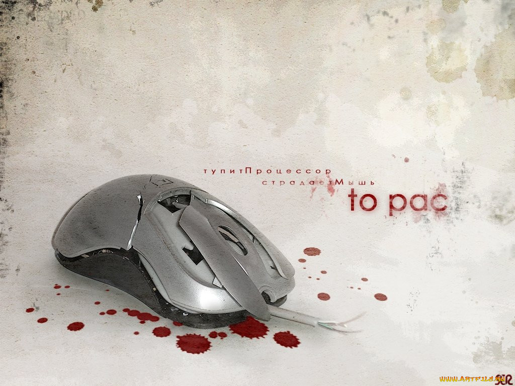 , 